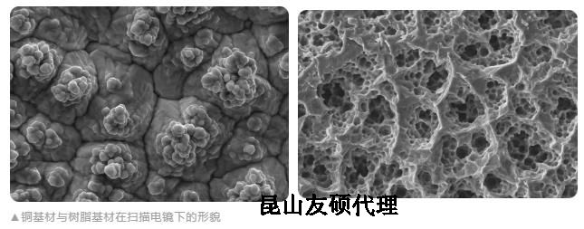 大连蔡司大连扫描电镜