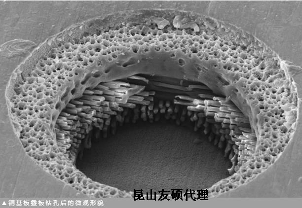 大连蔡司大连扫描电镜